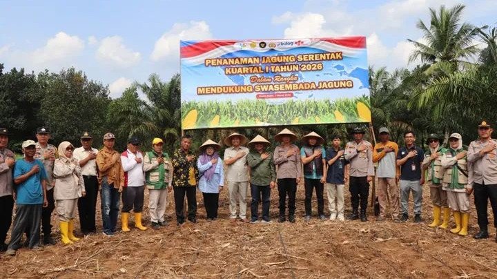 Musi Rawas Gelar Penanaman Jagung Serentak Kuartal I Tahun 2026